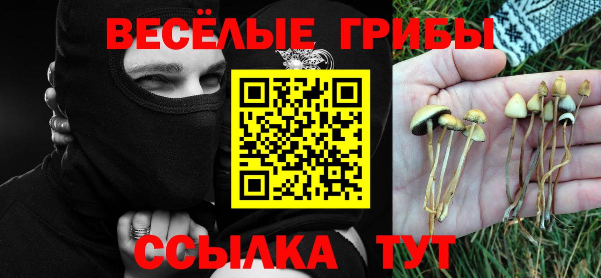Псилоцибиновые грибы GOLDEN TEACHER Сланцы